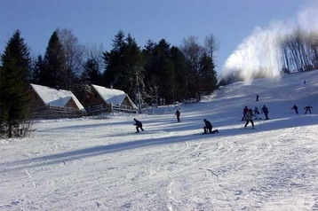 Poola Bungalov Ustrzyki Dolne, Eksterjöör